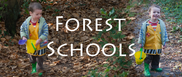 What is a Forest School?