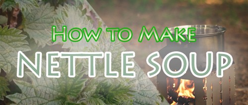 Nettle Soup Recipe