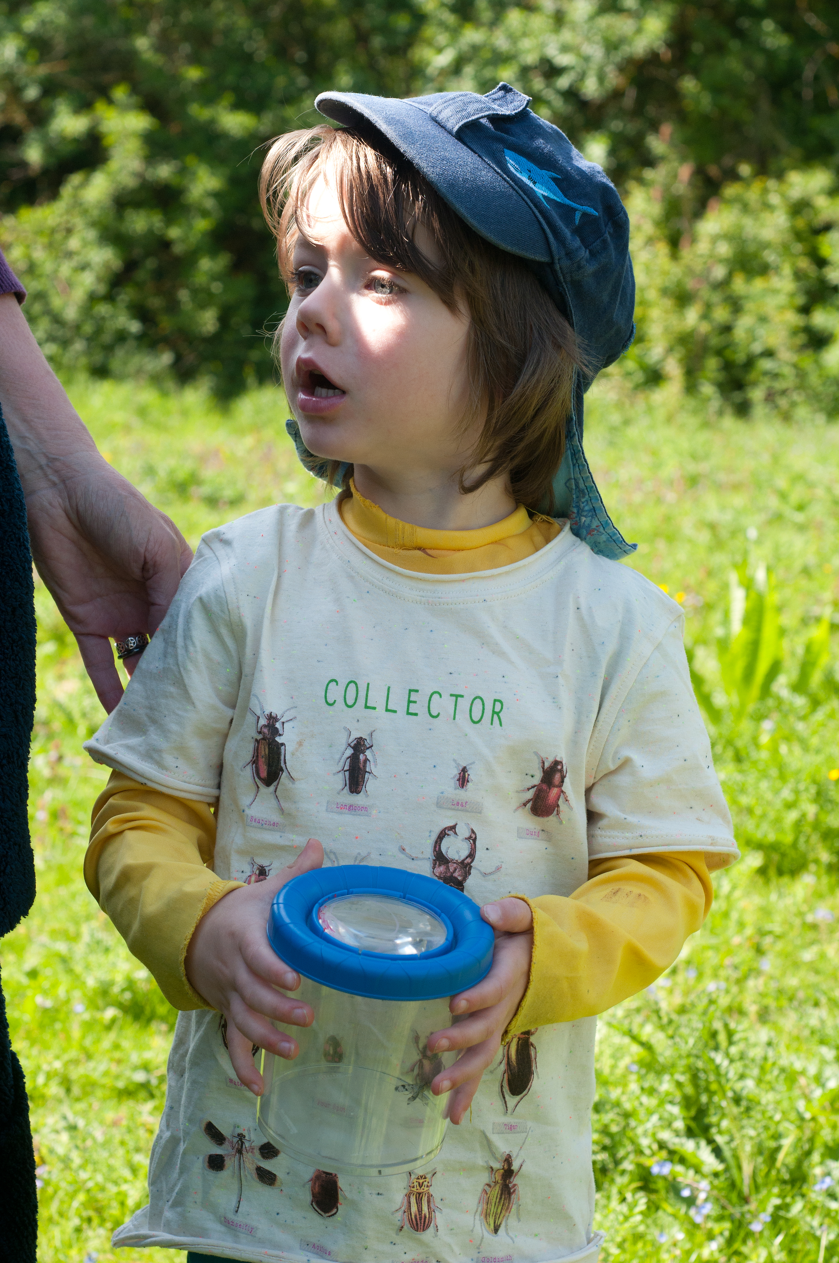 What is a Forest School?